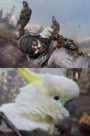 3boys bird crying edit joke joke_delivery sad // 1006x1514 // 1.1MB