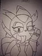 blush carol_tea freedom_planet monochrome tagme // 384x502 // 58KB