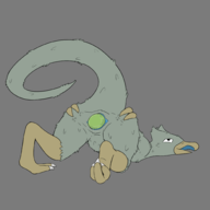 artist:unknown ball cloaca colored feral pokemon spread_anus spread_ass spreading tagme tennis_ball // 2000x2000 // 375KB