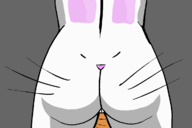 ass_template carrot colored parody rabbit // 1200x800 // 100KB