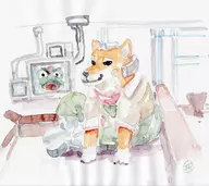 2boys artist:clm colored doge fox_mccloud meme parody slippy_toad star_fox traditional_medium // 800x711 // 85KB