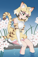 1girl animal_ears artist:unknown colored edit flower kemono_friends sand_cat tail water // 1364x2048 // 1.7MB