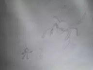 captain_olimar olimar pikmin spider tagme // 640x480 // 67KB