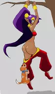 ass colored dog hanging pants_pull shantae shantae_(series) wayforward // 583x1000 // 221KB