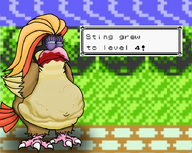 artist:unknown claude_plays_pokemon fat obese parody patrick_star pidgeot pokemon spongebob_squarepants text // 900x718 // 348KB