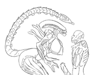 alien_(series) artist:scorndude huge_breasts monochrome penis scorn scorn_guy xenomorph // 1800x1378 // 438KB