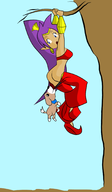 ass colored dog hanging pants_pull shantae shantae_(series) wayforward // 1191x2048 // 373KB