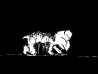 artist:smudge gore guro koopa solo // 1111x842 // 25KB