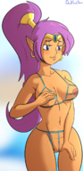 1girl artist:davidsanchan bikini breasts colored nude pussy shantae shantae_(series) // 800x1645 // 705KB