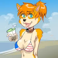 1girl american_flag_bikini artist:bishopbb beach bikini blue_eyes collar colored corgi drink furry oc orange_hair ponytail steam steam_sale summer_sale_2019 tongue // 1200x1200 // 269KB
