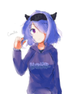 1girl artist:mellie camilla colored fire_emblem hoodie purple_eyes purple_hair short_hair text tomboy // 1668x2224 // 2.3MB